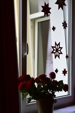 583924257 122233804352499419 4262496836683293981 n