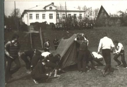 54